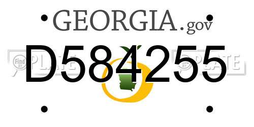 D584255 Georgia License Plate