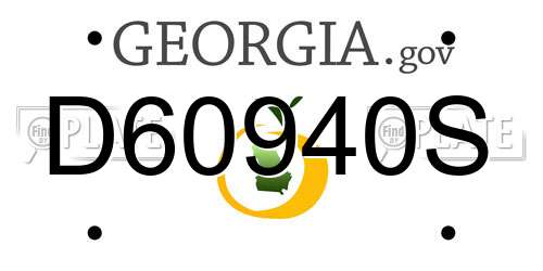 D60940S Georgia License Plate