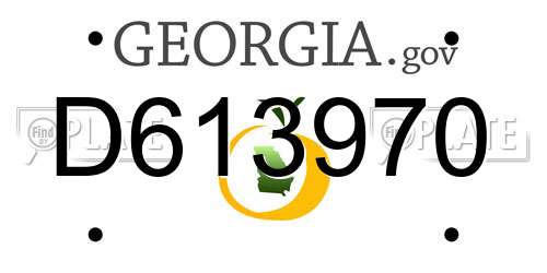 D613970 Georgia License Plate