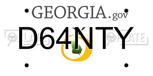 D64NTY Georgia License Plate