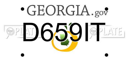 D659IT Georgia License Plate