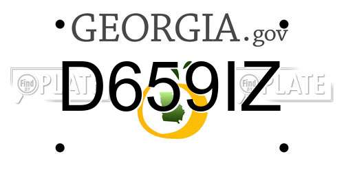 D659IZ Georgia License Plate
