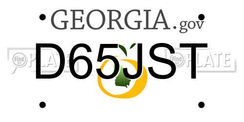 D65JST Georgia License Plate