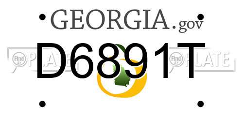D6891T Georgia License Plate