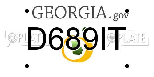 D689IT Georgia License Plate