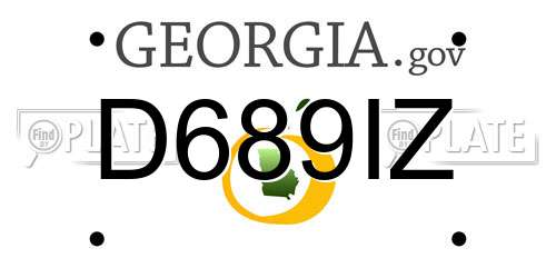 D689IZ Georgia License Plate