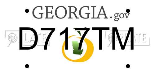 D717TM Georgia License Plate