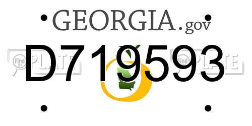 D719593 Georgia License Plate