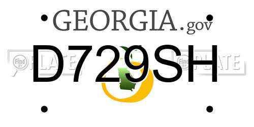 D729SH Georgia License Plate