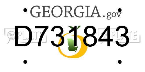 D731843 Georgia License Plate