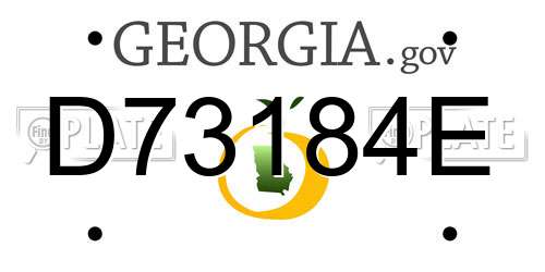 D73184E Georgia License Plate