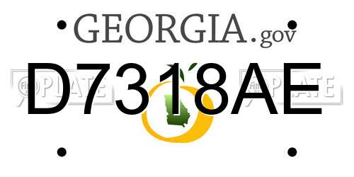 D7318AE Georgia License Plate