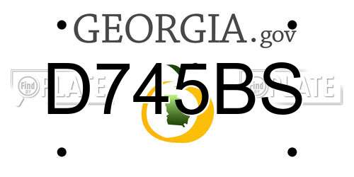 D745BS Georgia License Plate