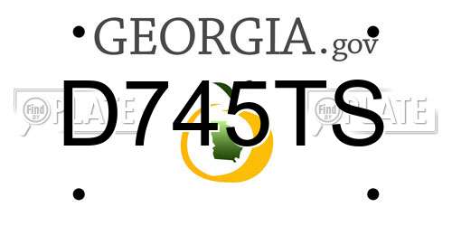 D745TS Georgia License Plate