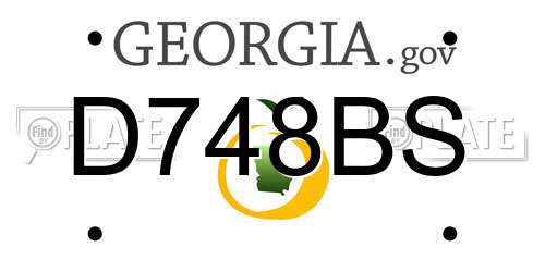 D748BS Georgia License Plate
