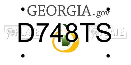 D748TS Georgia License Plate