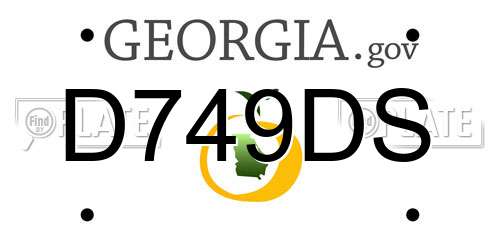 D749DS Georgia License Plate