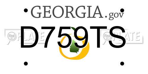 D759TS Georgia License Plate