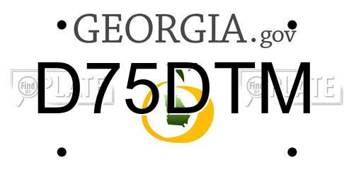 D75DTM Georgia License Plate