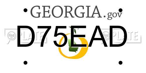 D75EAD Georgia License Plate