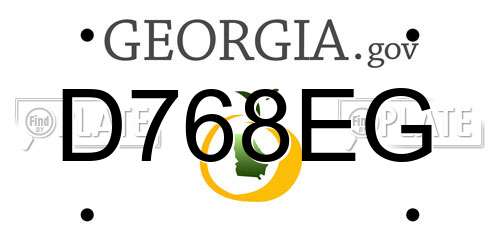 D768EG Georgia License Plate