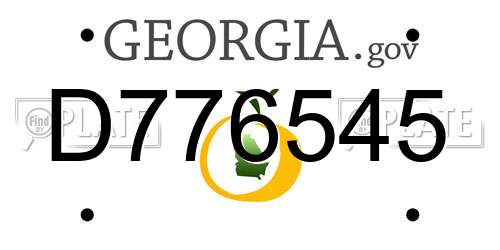 D776545 Georgia License Plate