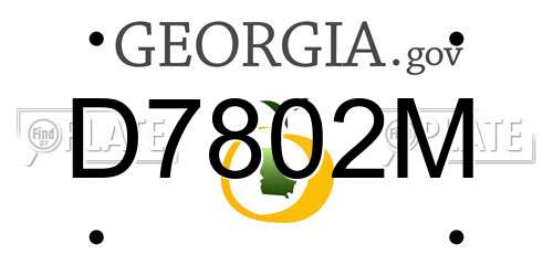 D7802M Georgia License Plate