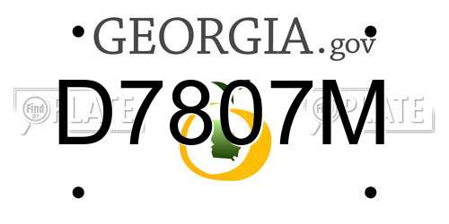 D7807M Georgia License Plate