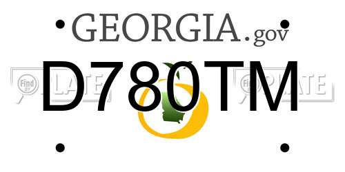 D780TM Georgia License Plate