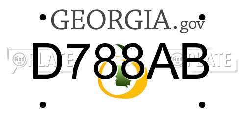 D788AB Georgia License Plate