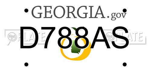 D788AS Georgia License Plate