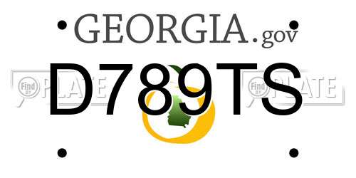 D789TS Georgia License Plate
