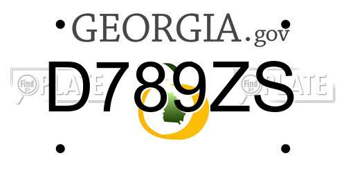 D789ZS Georgia License Plate