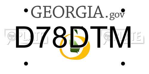 D78DTM Georgia License Plate