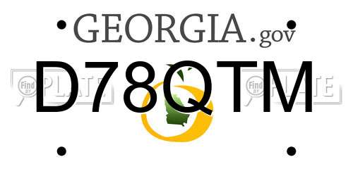 D78QTM Georgia License Plate