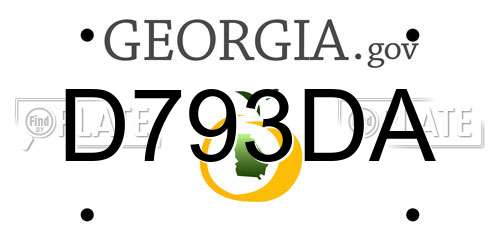D793DA Georgia License Plate