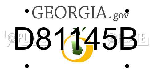 D81145B Georgia License Plate