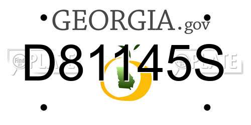 D81145S Georgia License Plate