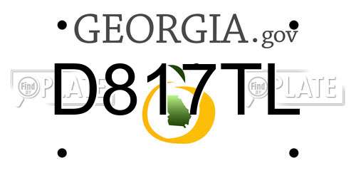 D817TL Georgia License Plate