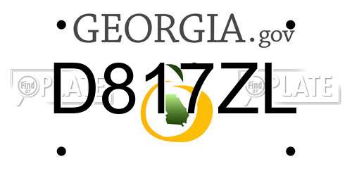 D817ZL Georgia License Plate