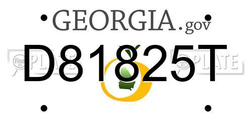 D81825T Georgia License Plate