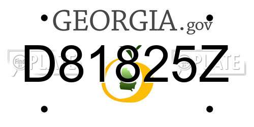 D81825Z Georgia License Plate
