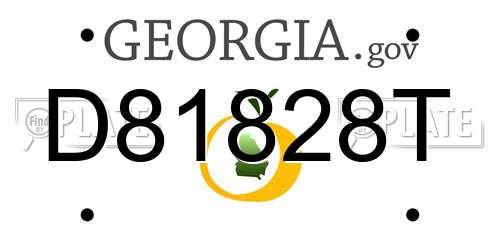 D81828T Georgia License Plate