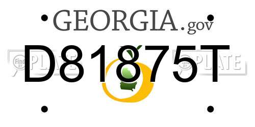 D81875T Georgia License Plate