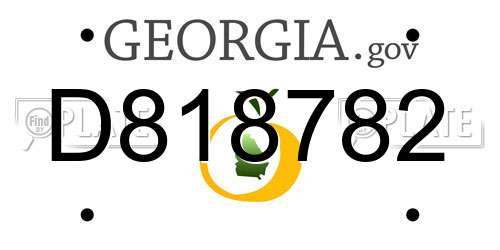 D818782 Georgia License Plate