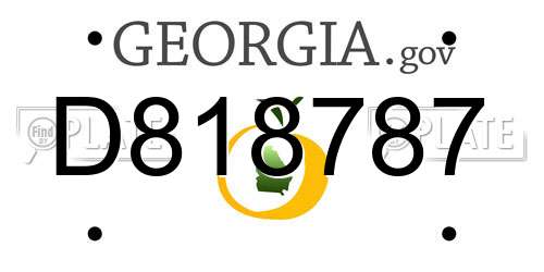 D818787 Georgia License Plate