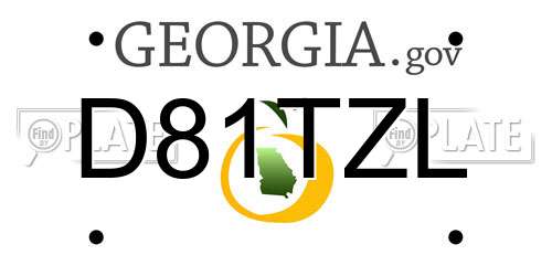 D81TZL Georgia License Plate