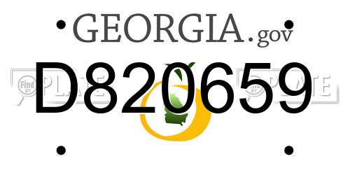 D820659 Georgia License Plate