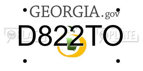 D822TO Georgia License Plate