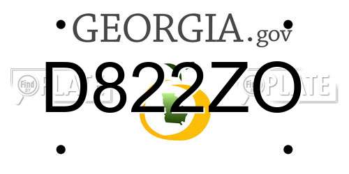 D822ZO Georgia License Plate